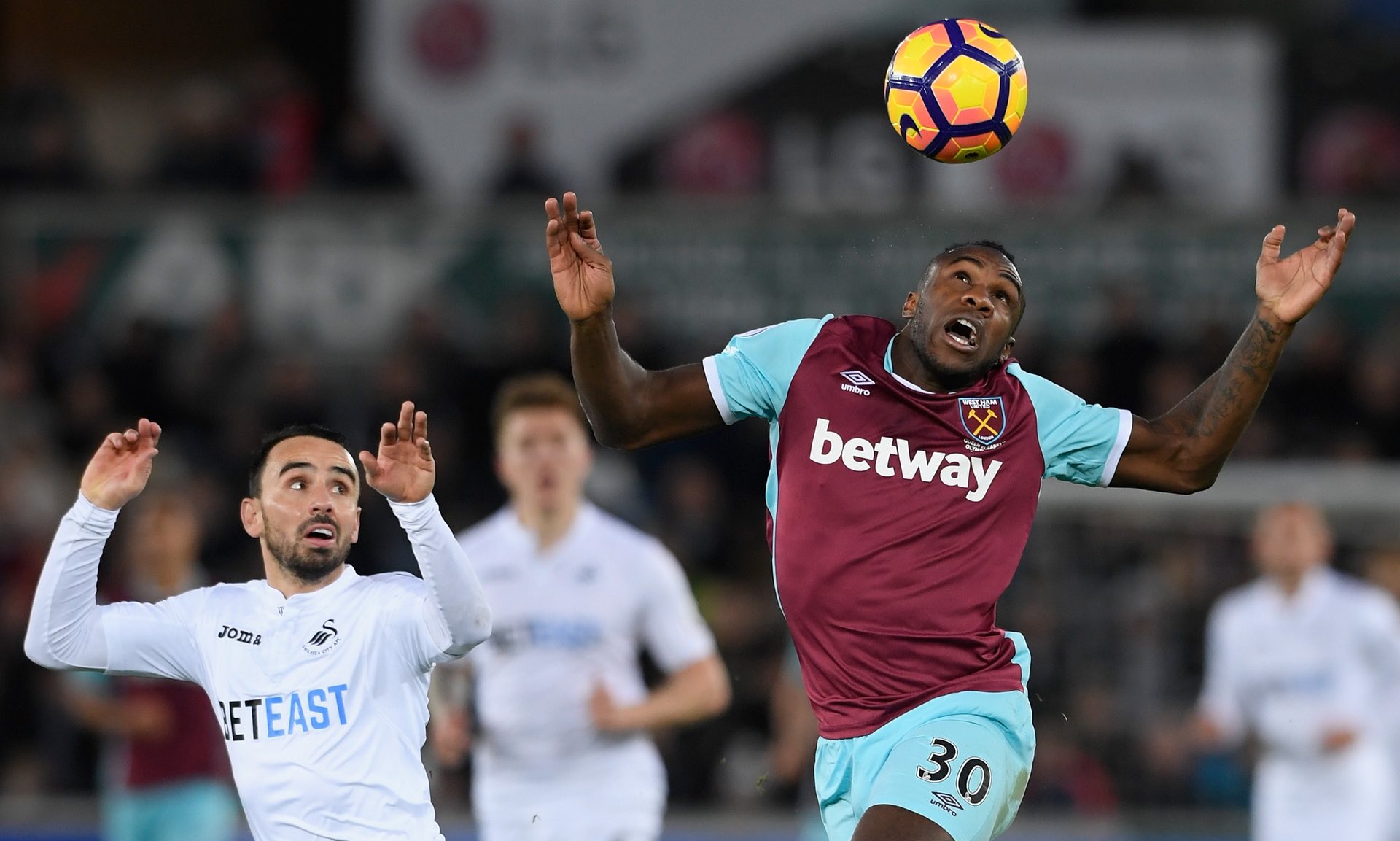 他展示了娴 他展示了娴